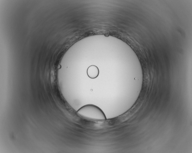 X0000111190130200907011017