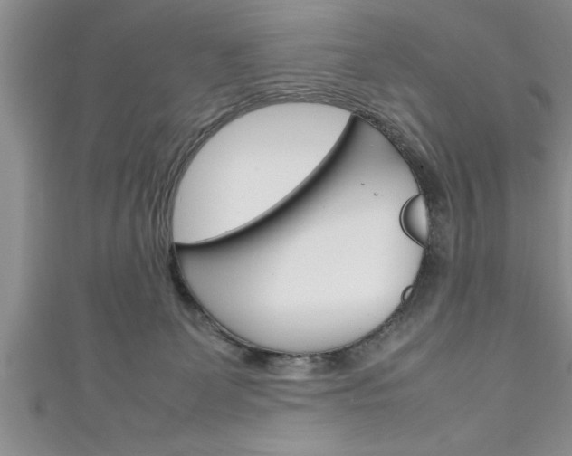 X0000111190131200907011017