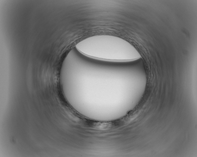 X0000111190135200907011017