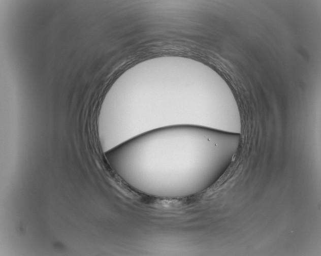 X0000111190137200907011017