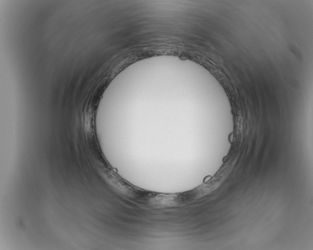 X0000111190138200907011017