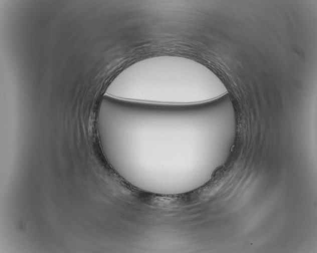 X0000111190139200907011017