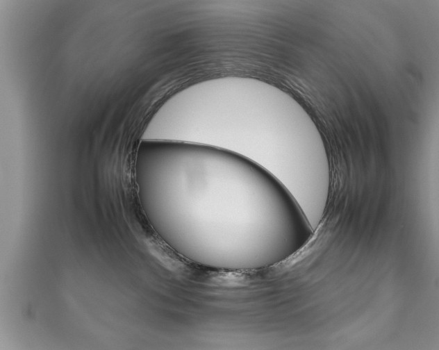 X0000111190140200907011017