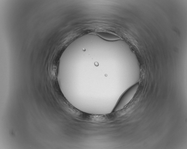 X0000111190141200907011017