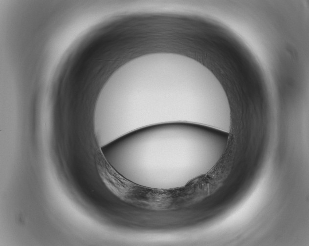 X0000111190143200907011017