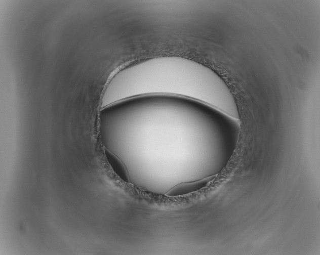 X0000111190144200907011017