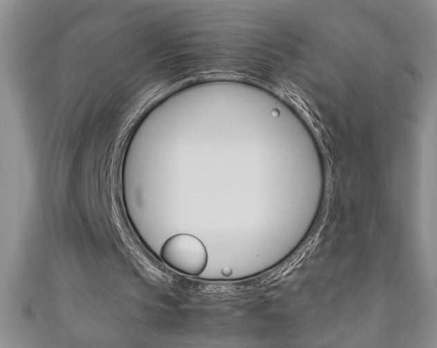 X0000111190145200907011016