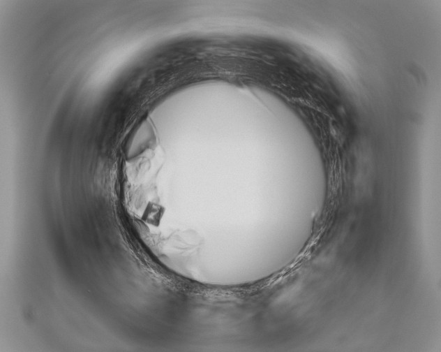 X0000111190146200907011016