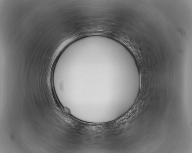 X0000111190147200907011016