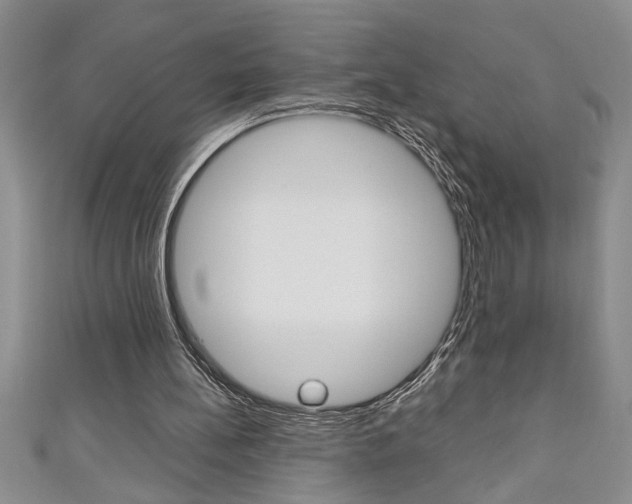 X0000111190148200907011016