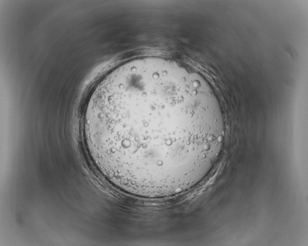 X0000111190149200907011016