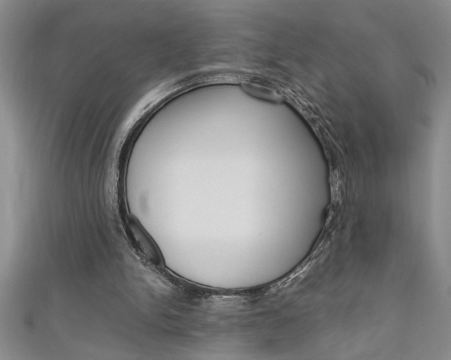 X0000111190150200907011016