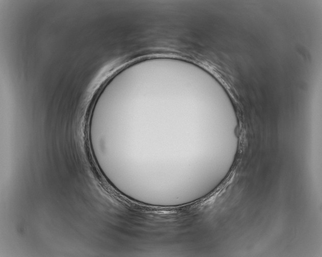 X0000111190151200907011016