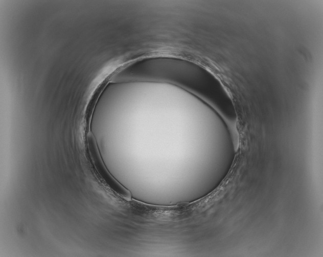 X0000111190152200907011016