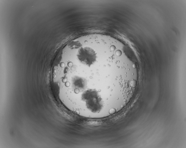 X0000111190153200907011016