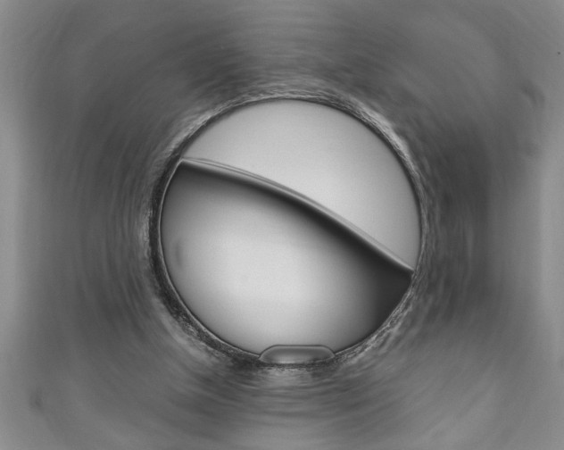 X0000111190154200907011016