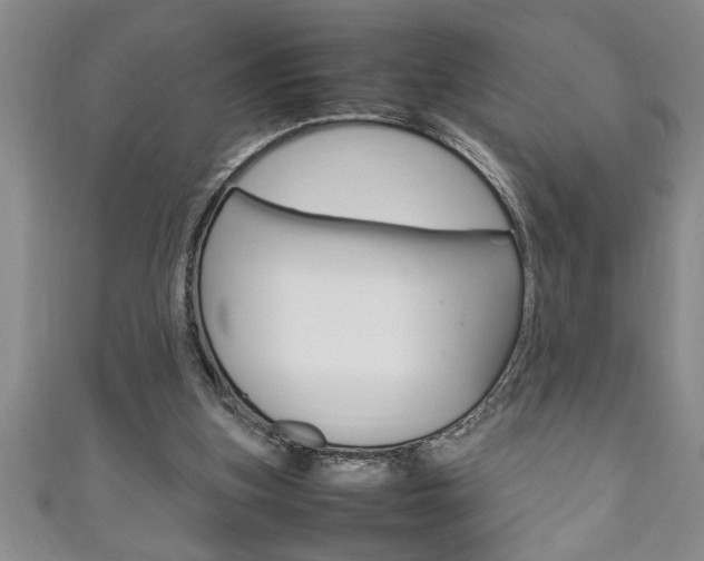 X0000111190155200907011016