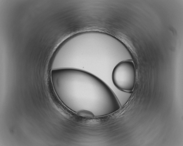 X0000111190156200907011016