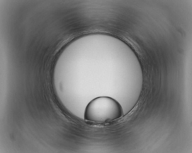 X0000111190158200907011016