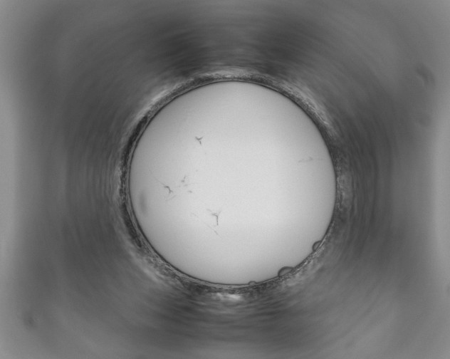 X0000111190159200907011016