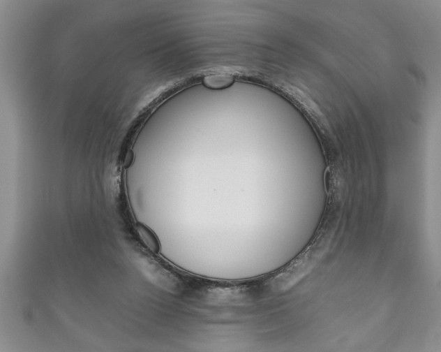 X0000111190160200907011016