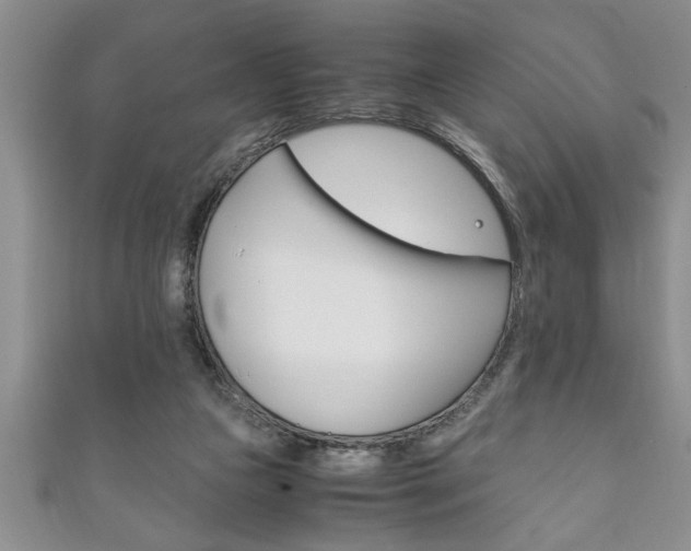 X0000111190161200907011016