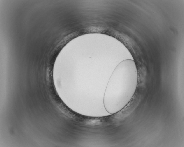 X0000111190162200907011016