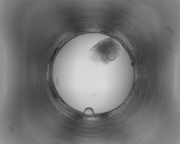 X0000111190163200907011016