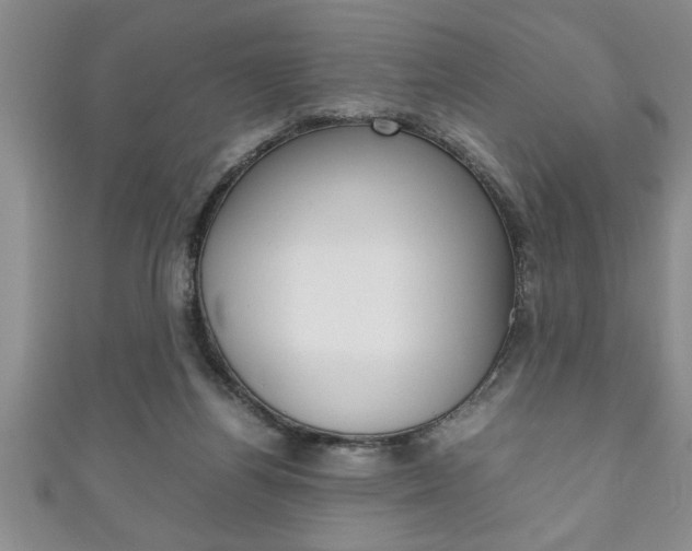 X0000111190164200907011016