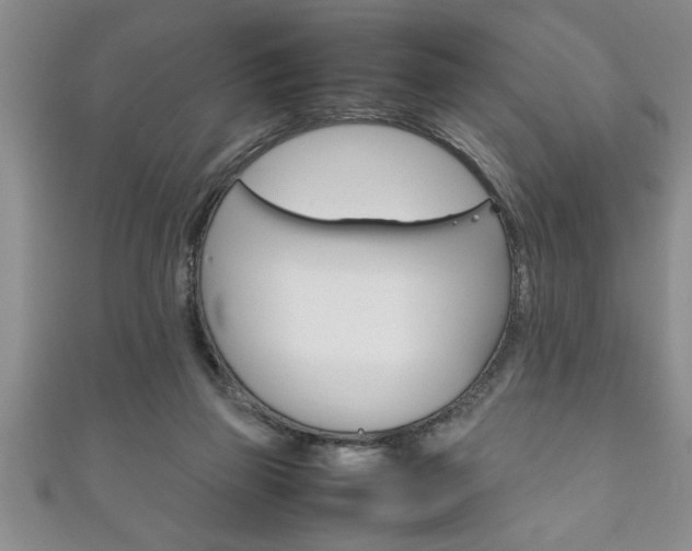 X0000111190165200907011016