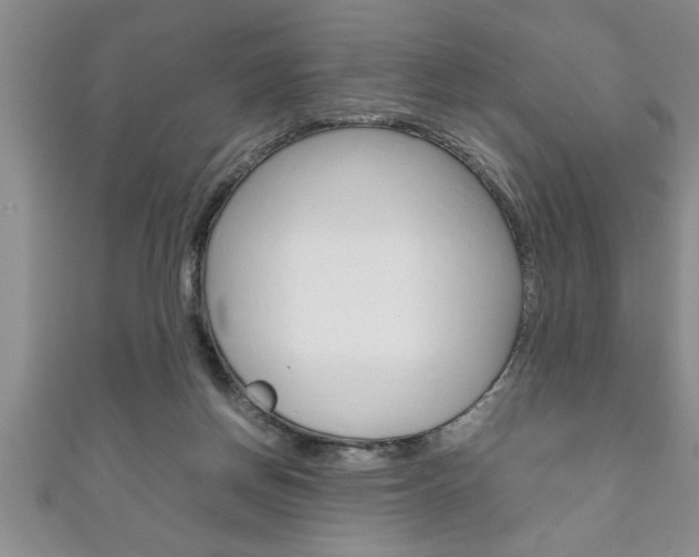 X0000111190166200907011016