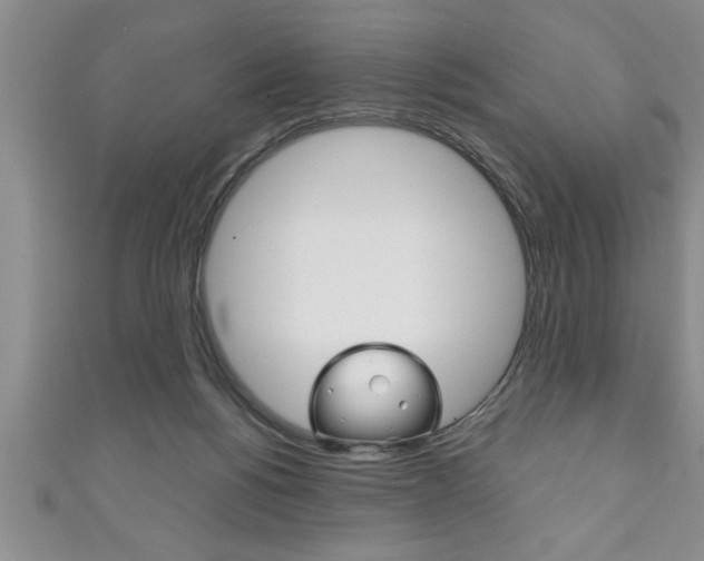 X0000111190168200907011016