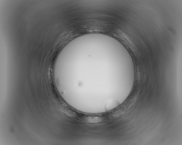 X0000111190169200907011016