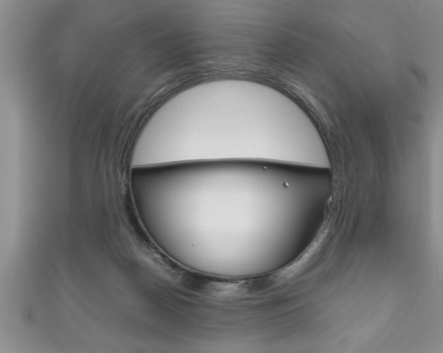 X0000111190170200907011016