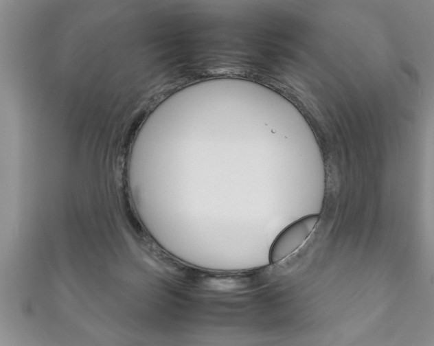 X0000111190171200907011016