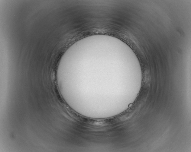 X0000111190173200907011016