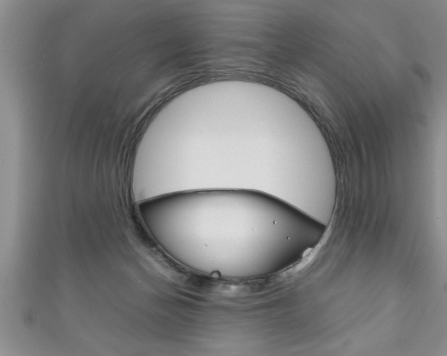 X0000111190174200907011016