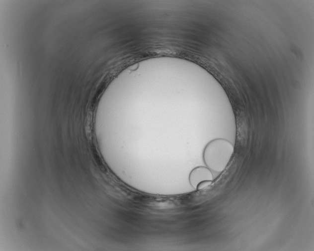 X0000111190175200907011016