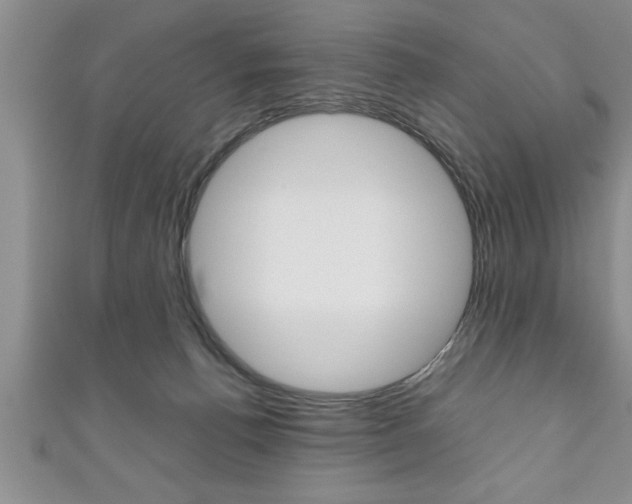 X0000111190176200907011016