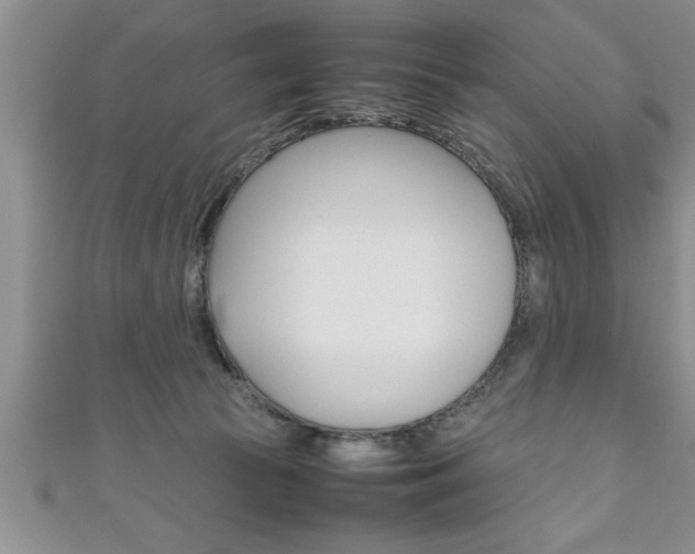 X0000111190177200907011016