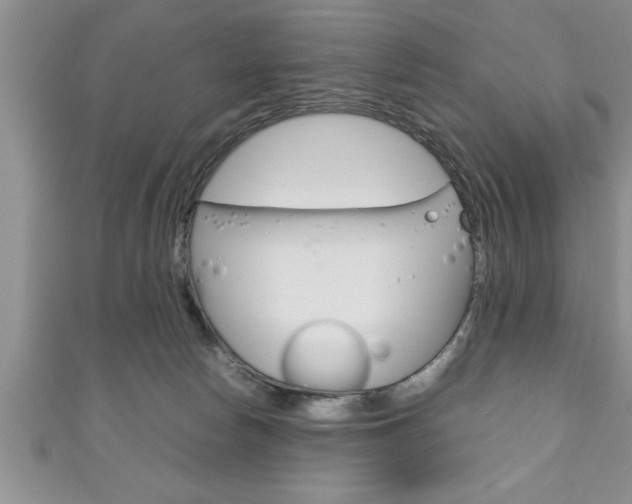 X0000111190178200907011016