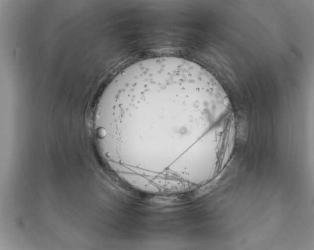 X0000111190179200907011016