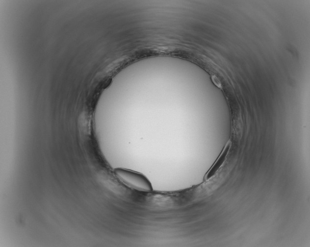 X0000111190180200907011016