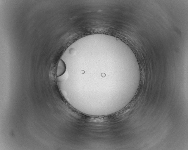 X0000111190181200907011016