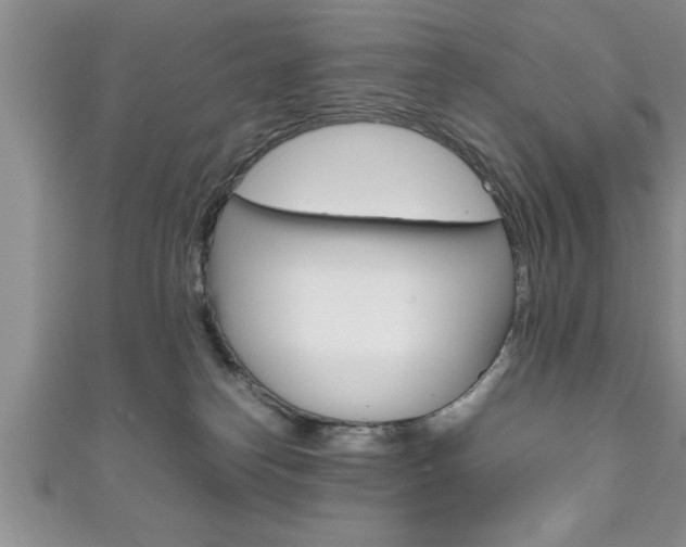 X0000111190182200907011016