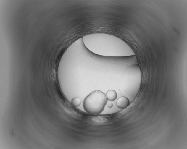 X0000111190183200907011016