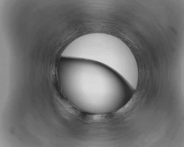 X0000111190184200907011016