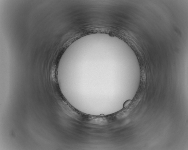 X0000111190185200907011016