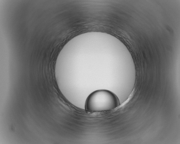 X0000111190186200907011016