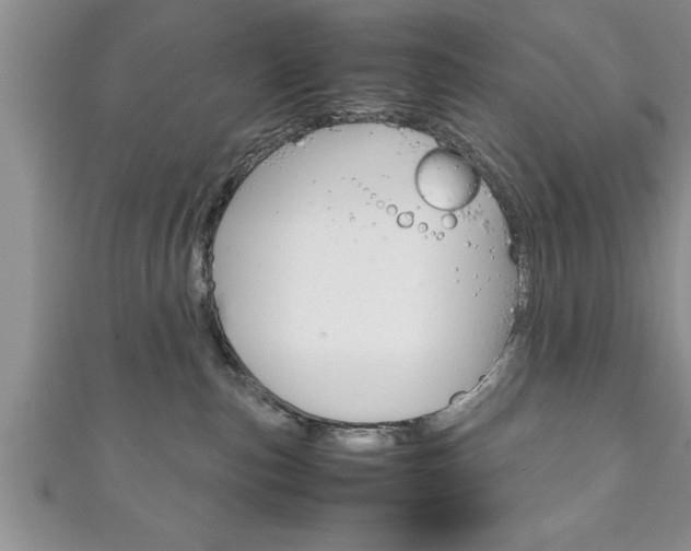 X0000111190187200907011016